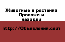 Животные и растения Пропажи и находки